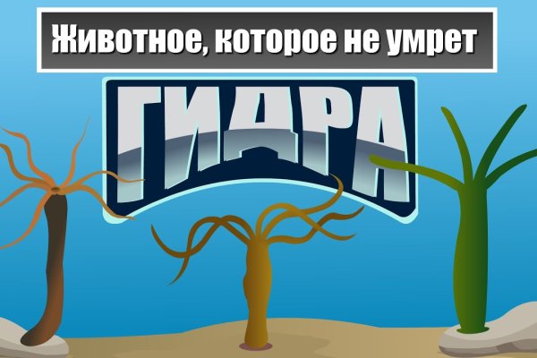 Кракен наркомаркет